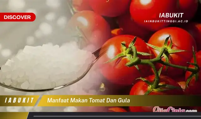 Intip 7 Manfaat Makan Tomat dan Gula yang Bikin Kamu Penasaran - Discover