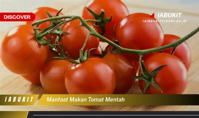 manfaat makan tomat mentah
