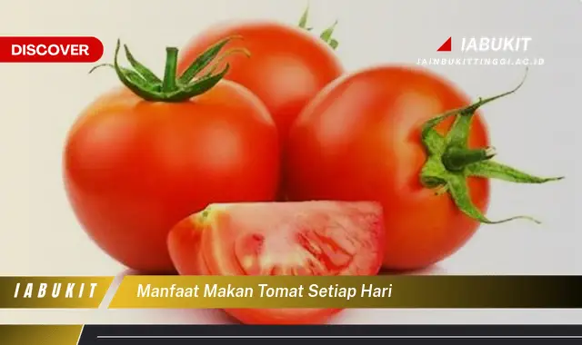 manfaat makan tomat setiap hari