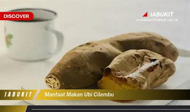 manfaat makan ubi cilembu