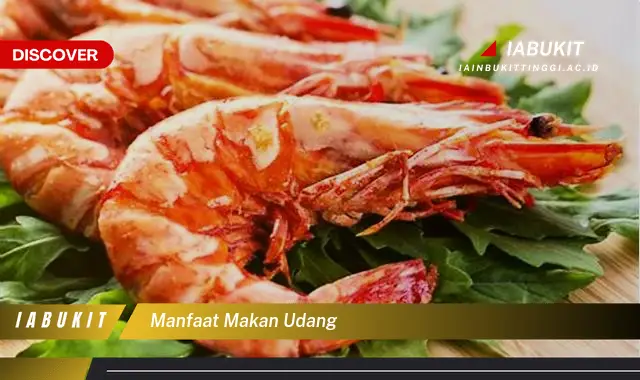 manfaat makan udang