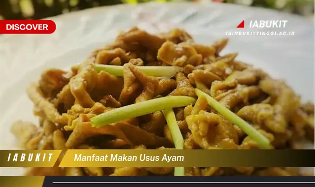 manfaat makan usus ayam manfaat makan usus ayam