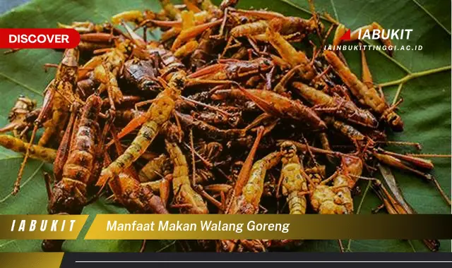 manfaat makan walang goreng