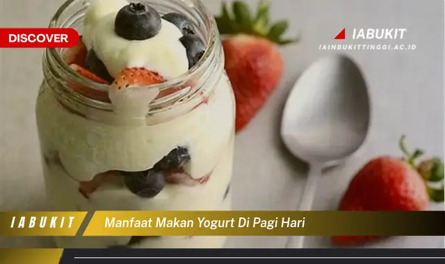 manfaat makan yogurt di pagi hari manfaat makan yogurt di pagi hari