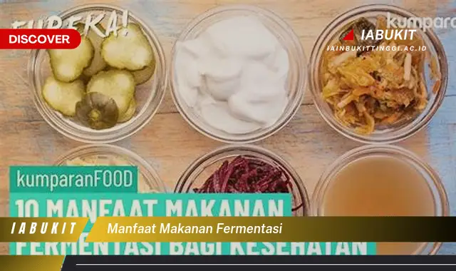 manfaat makanan fermentasi