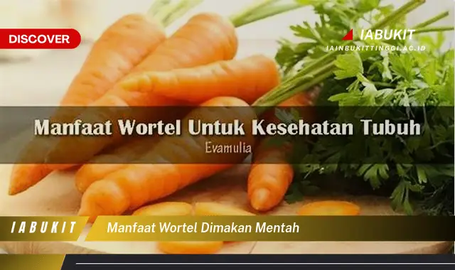 manfaat wortel dimakan mentah