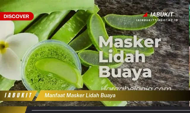 manfaat masker lidah buaya