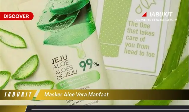 masker aloe vera manfaat