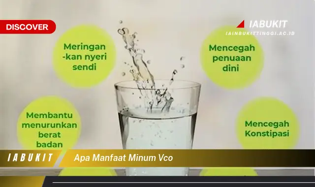 apa manfaat minum vco