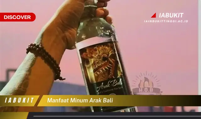 manfaat minum arak bali manfaat minum arak bali