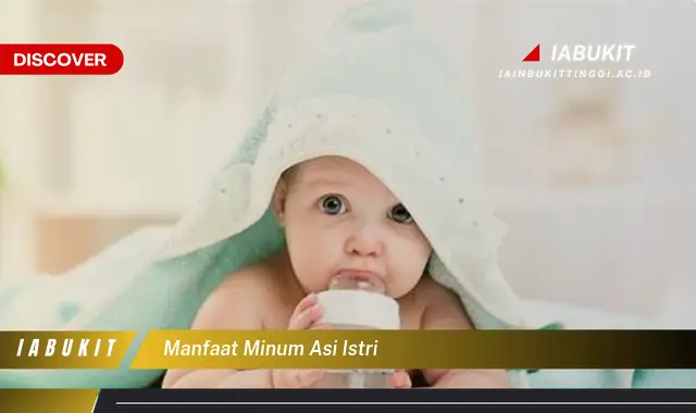 manfaat minum asi istri