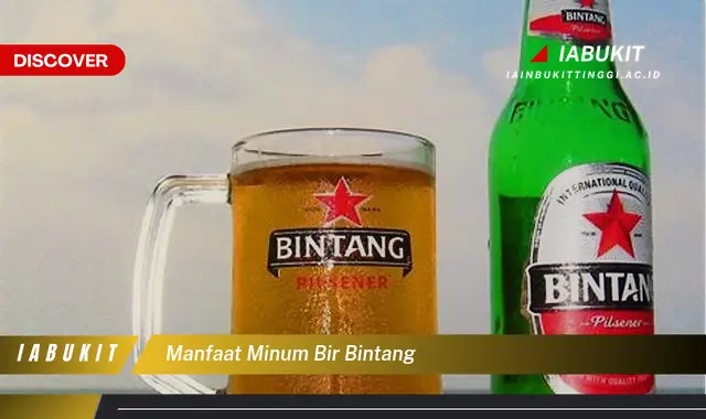 manfaat minum bir bintang