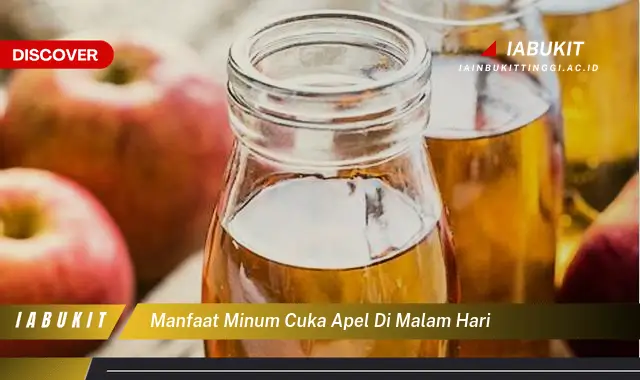 7 Manfaat Minum Cuka Apel di Malam Hari yang Bikin Kamu Penasaran – Discover