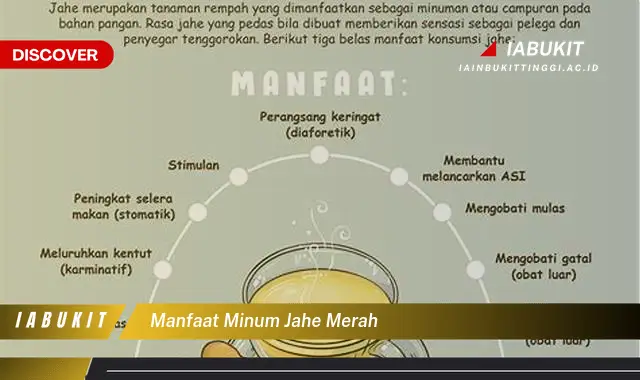 manfaat minum jahe merah