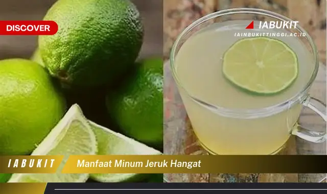 manfaat minum jeruk hangat