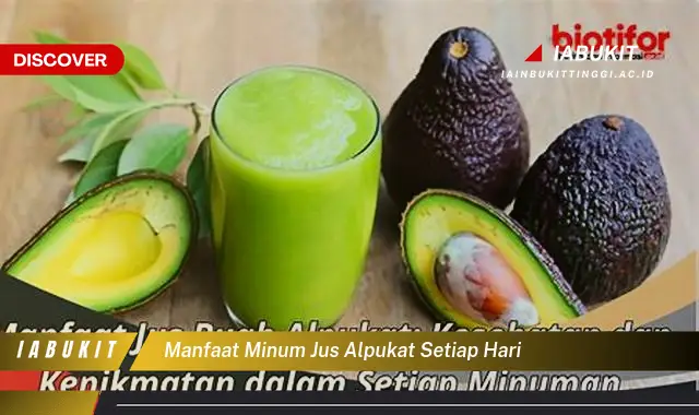 manfaat minum jus alpukat setiap hari