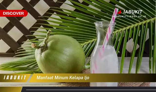 manfaat minum kelapa ijo