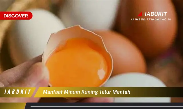 manfaat minum kuning telur mentah