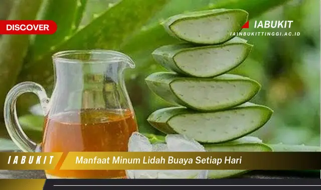 manfaat minum lidah buaya setiap hari