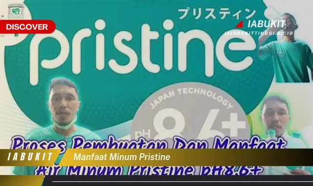 manfaat minum pristine