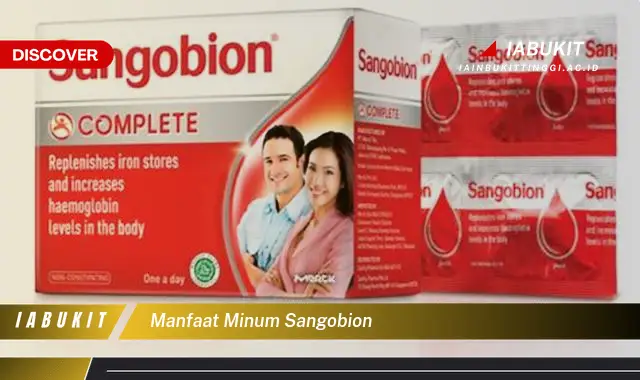 manfaat minum sangobion