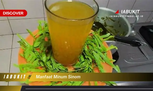 manfaat minum sinom manfaat minum sinom