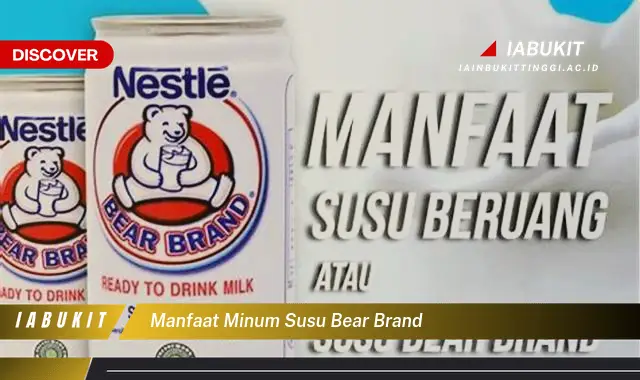 manfaat minum susu bear brand