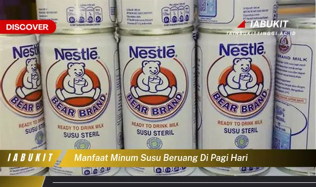 manfaat minum susu beruang di pagi hari