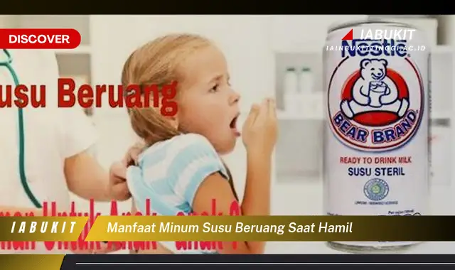 manfaat minum susu beruang saat hamil manfaat minum susu beruang saat hamil