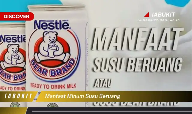 manfaat minum susu beruang