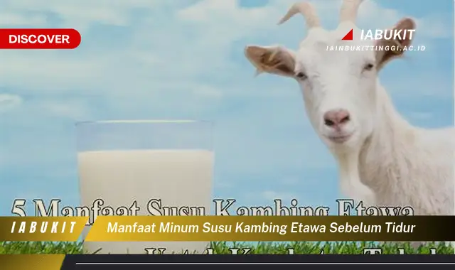 manfaat minum susu kambing etawa sebelum tidur