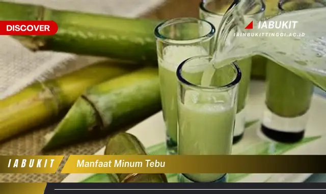 manfaat minum tebu