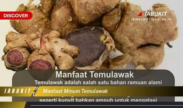 manfaat minum temulawak