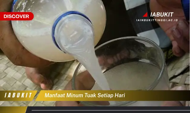 manfaat minum tuak setiap hari