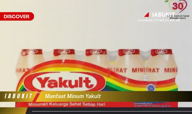 manfaat minum yakult