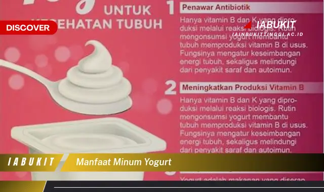 manfaat minum yogurt manfaat minum yogurt