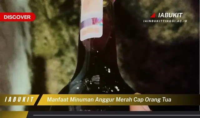 manfaat minuman anggur merah cap orang tua