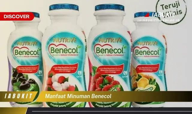 manfaat minuman benecol