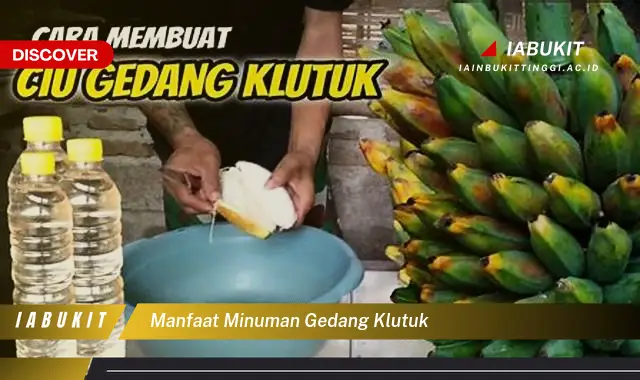 manfaat minuman gedang klutuk