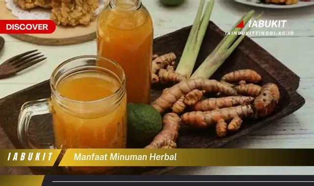 manfaat minuman herbal