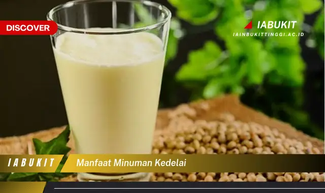 manfaat minuman kedelai