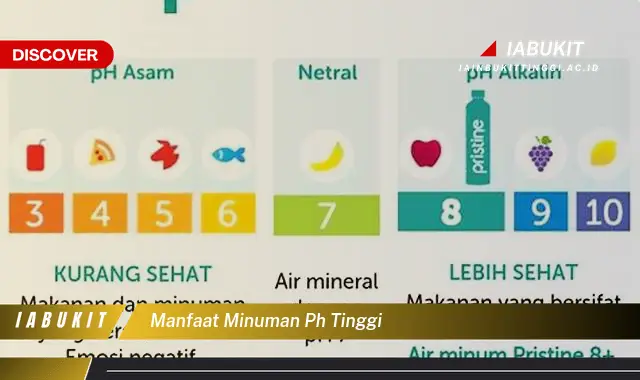 manfaat minuman ph tinggi