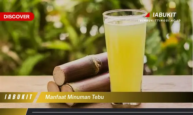 manfaat minuman tebu