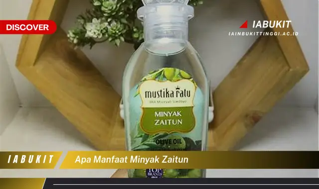 apa manfaat minyak zaitun apa manfaat minyak zaitun