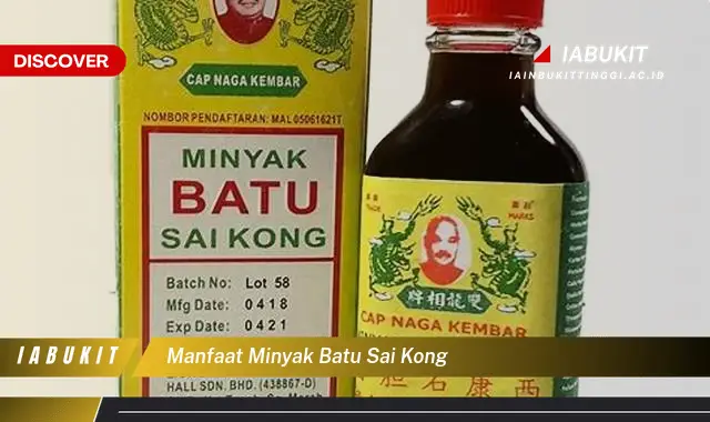 manfaat minyak batu sai kong