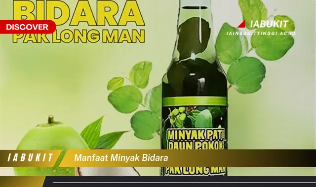 manfaat minyak bidara