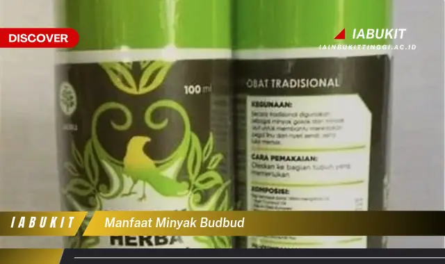 manfaat minyak budbud manfaat minyak budbud