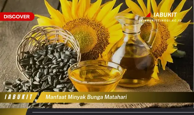 manfaat minyak bunga matahari