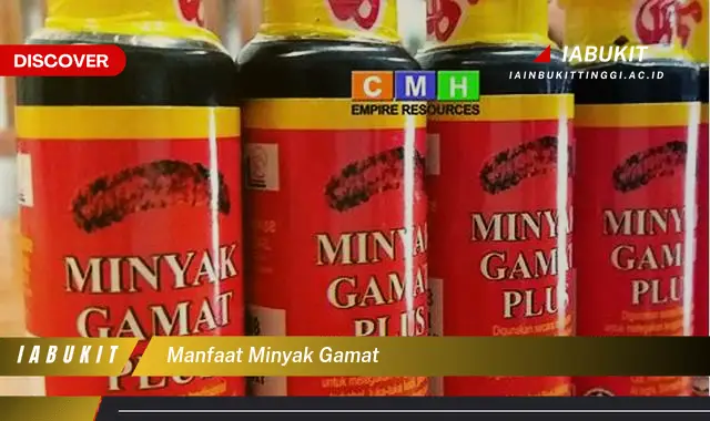 manfaat minyak gamat