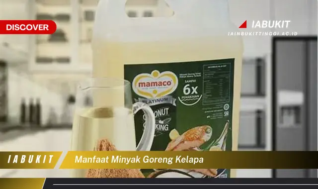 manfaat minyak goreng kelapa